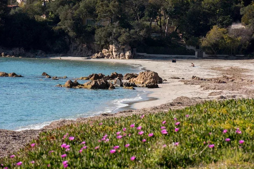 À VENDRE – SUPERBE DUPLEX DERNIER ÉTAGE - RUPIONE